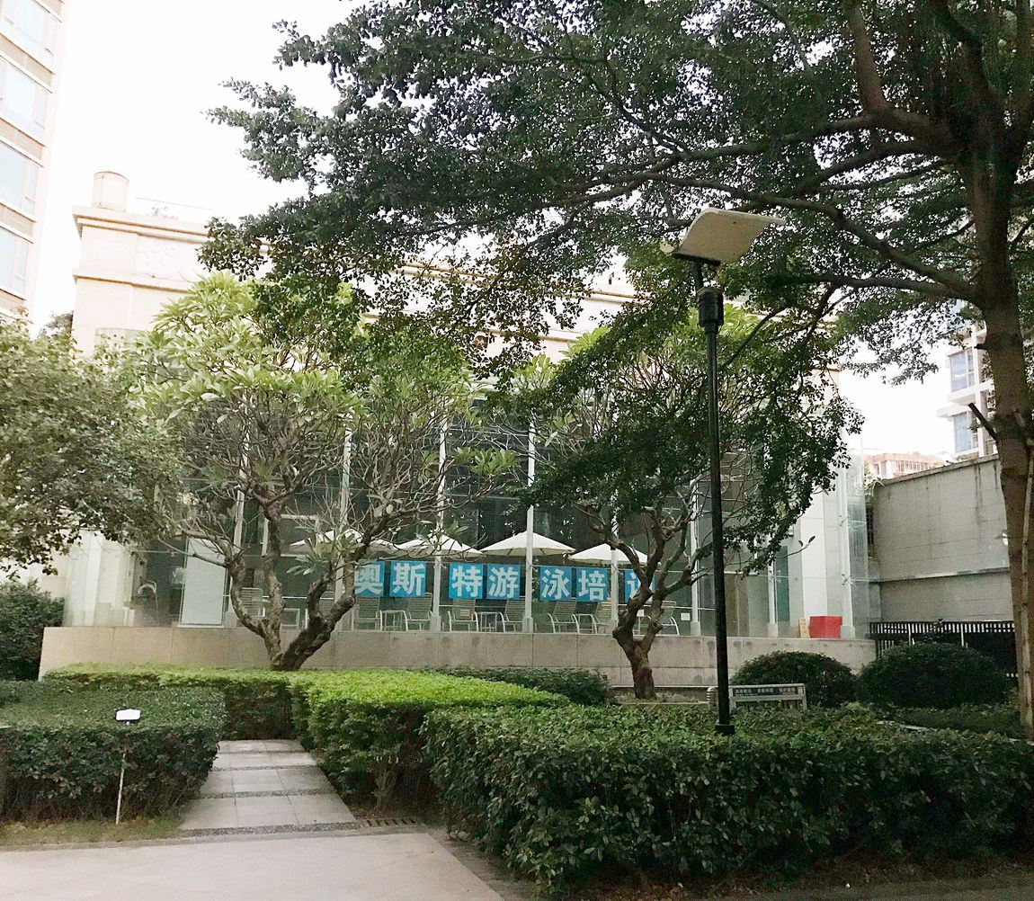 深圳逍遥居—工作生活均不忘初衷晨起唱支歌哦普通公寓