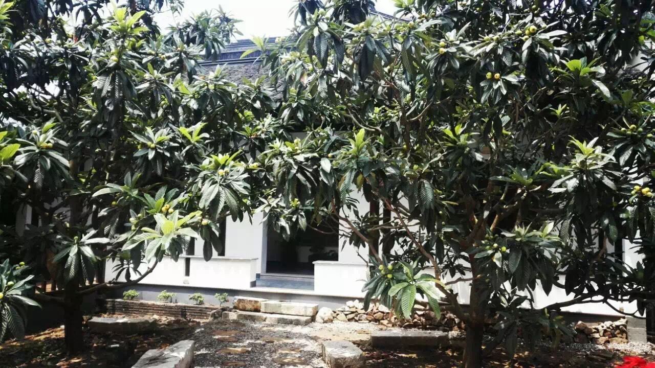 苏州鄉途山居民宿