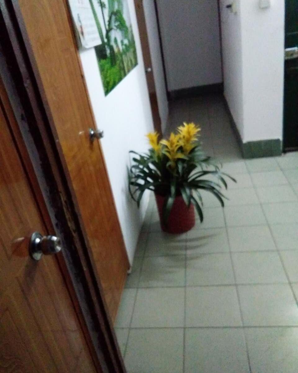 广州四季客栈