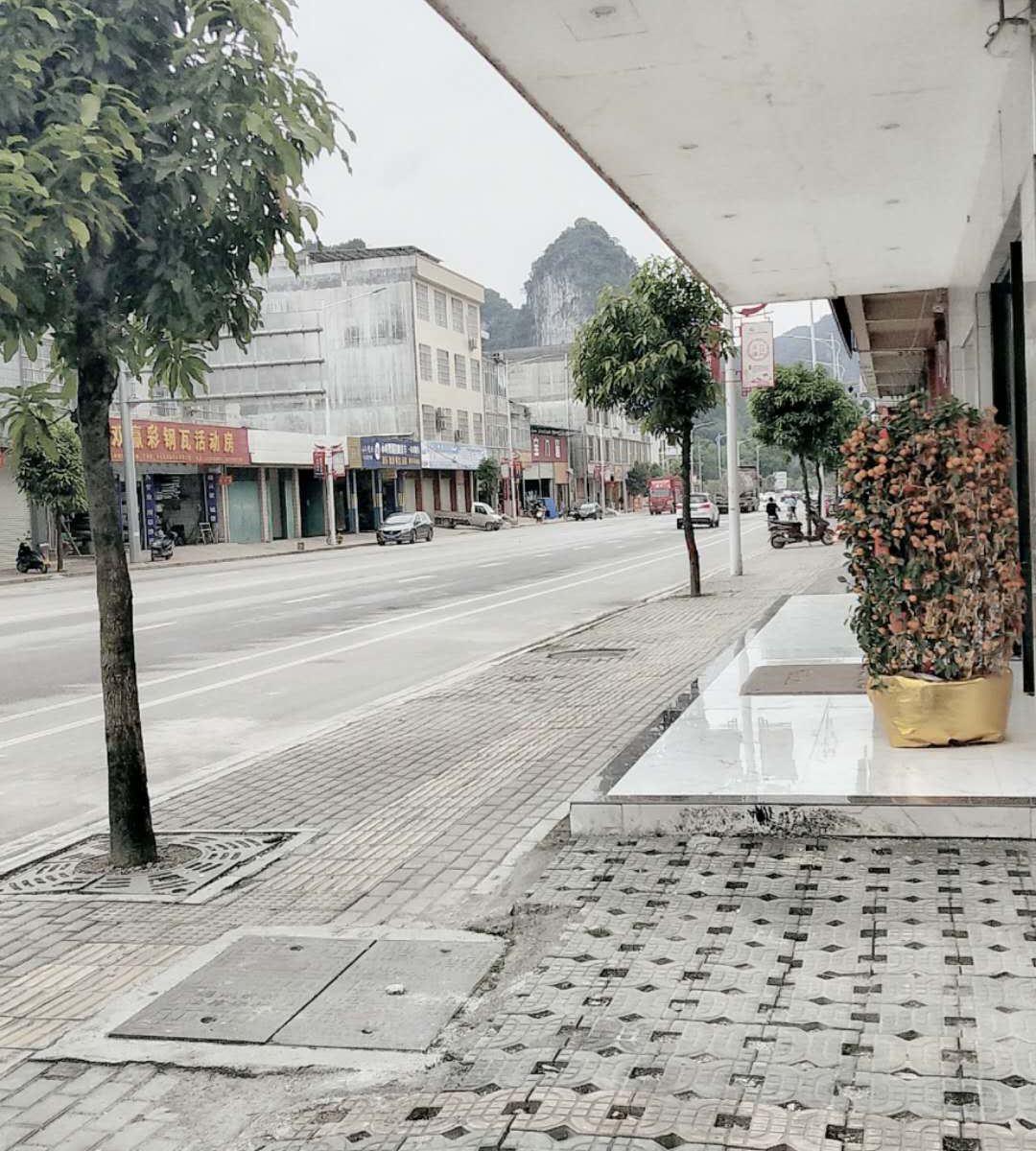 天等壮寨民居酒店