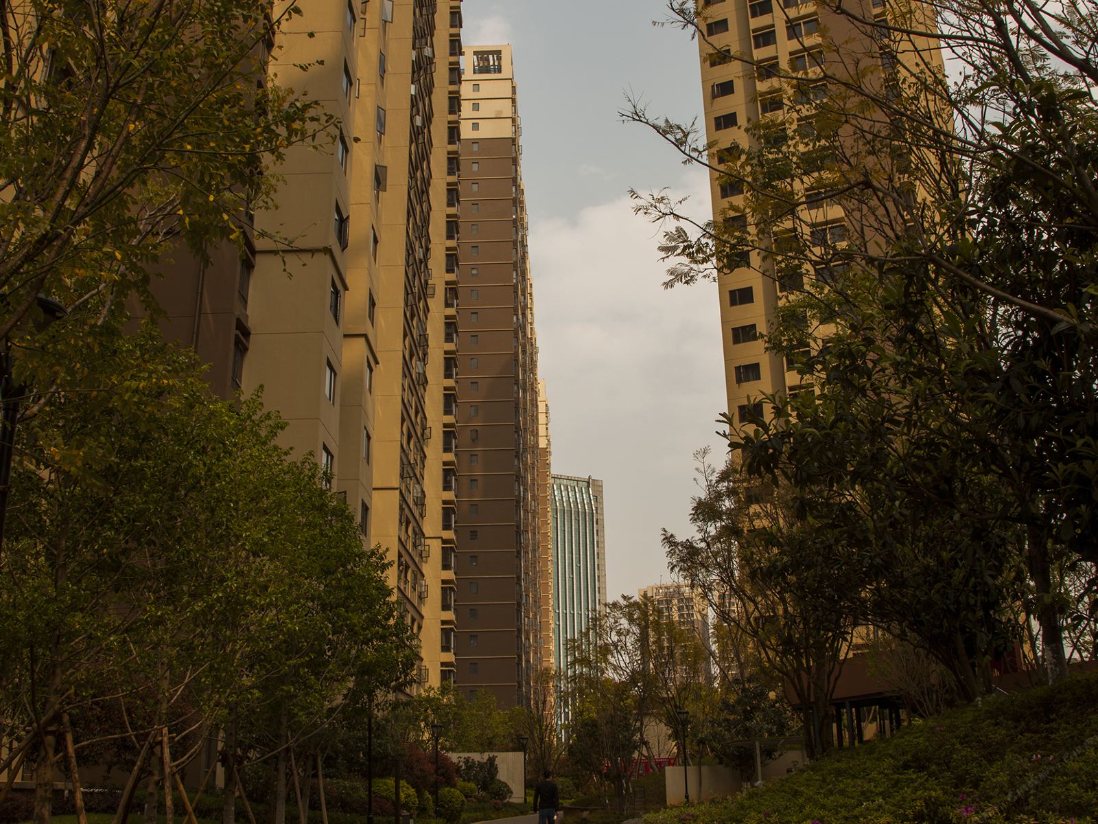 昆明鸥巢家庭式公寓(学府路分店)