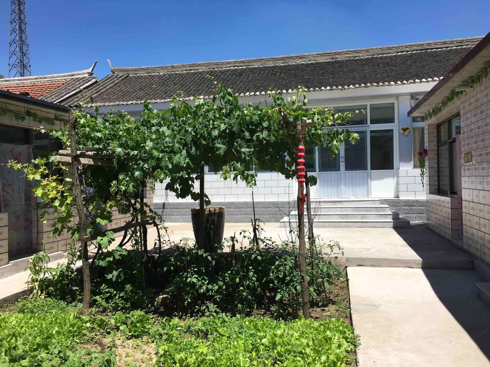 北京稻香农情饭庄