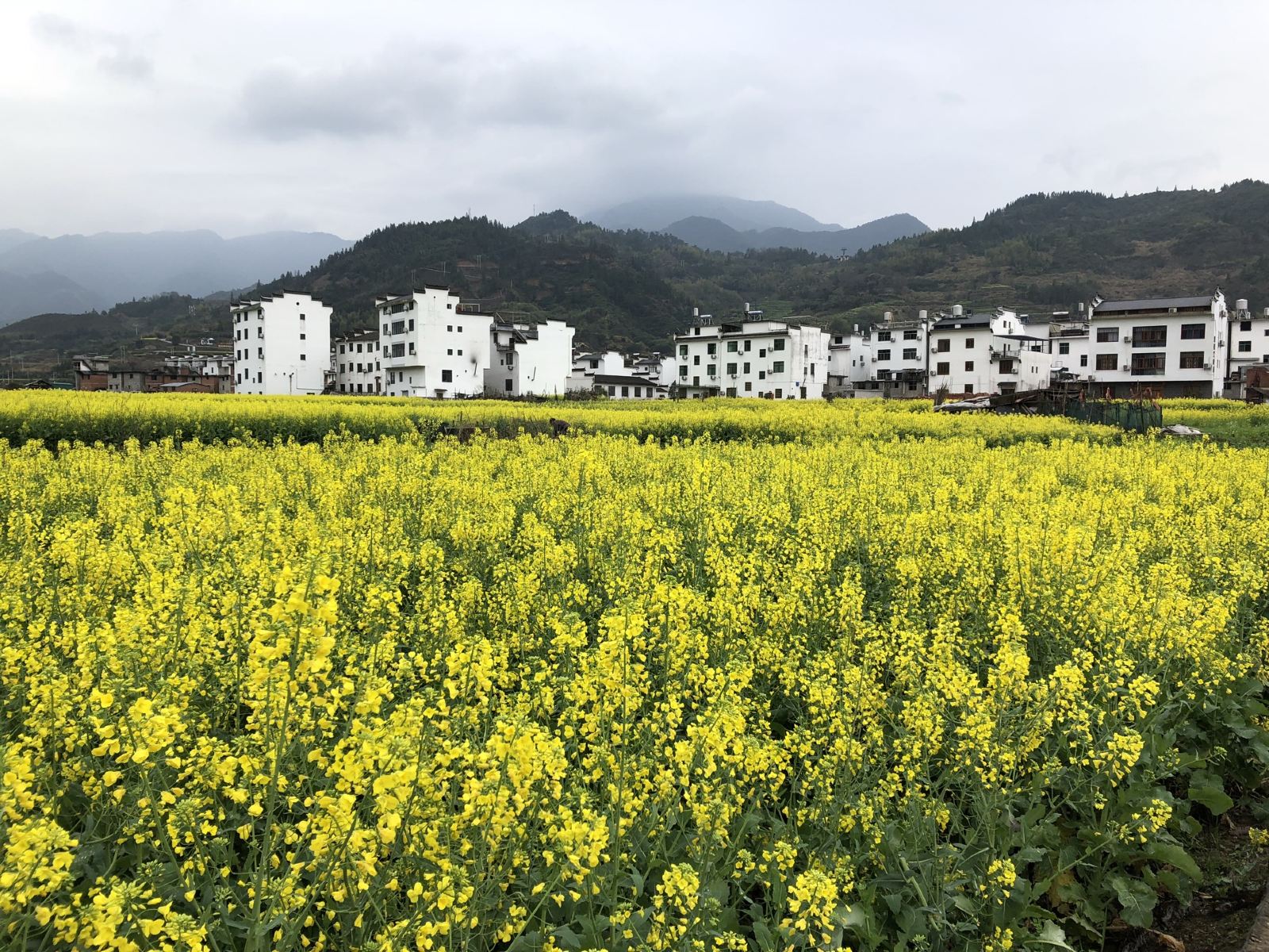 婺源花间美宿
