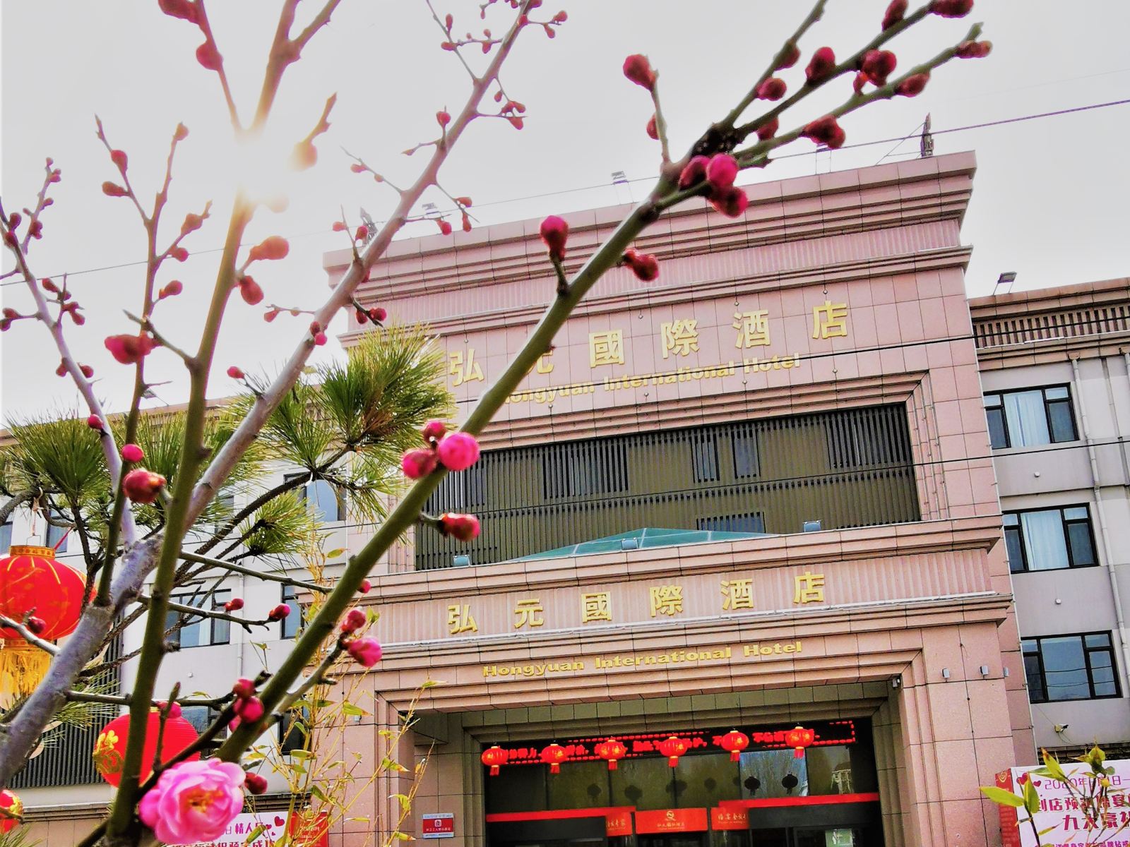 青岛弘元国际酒店