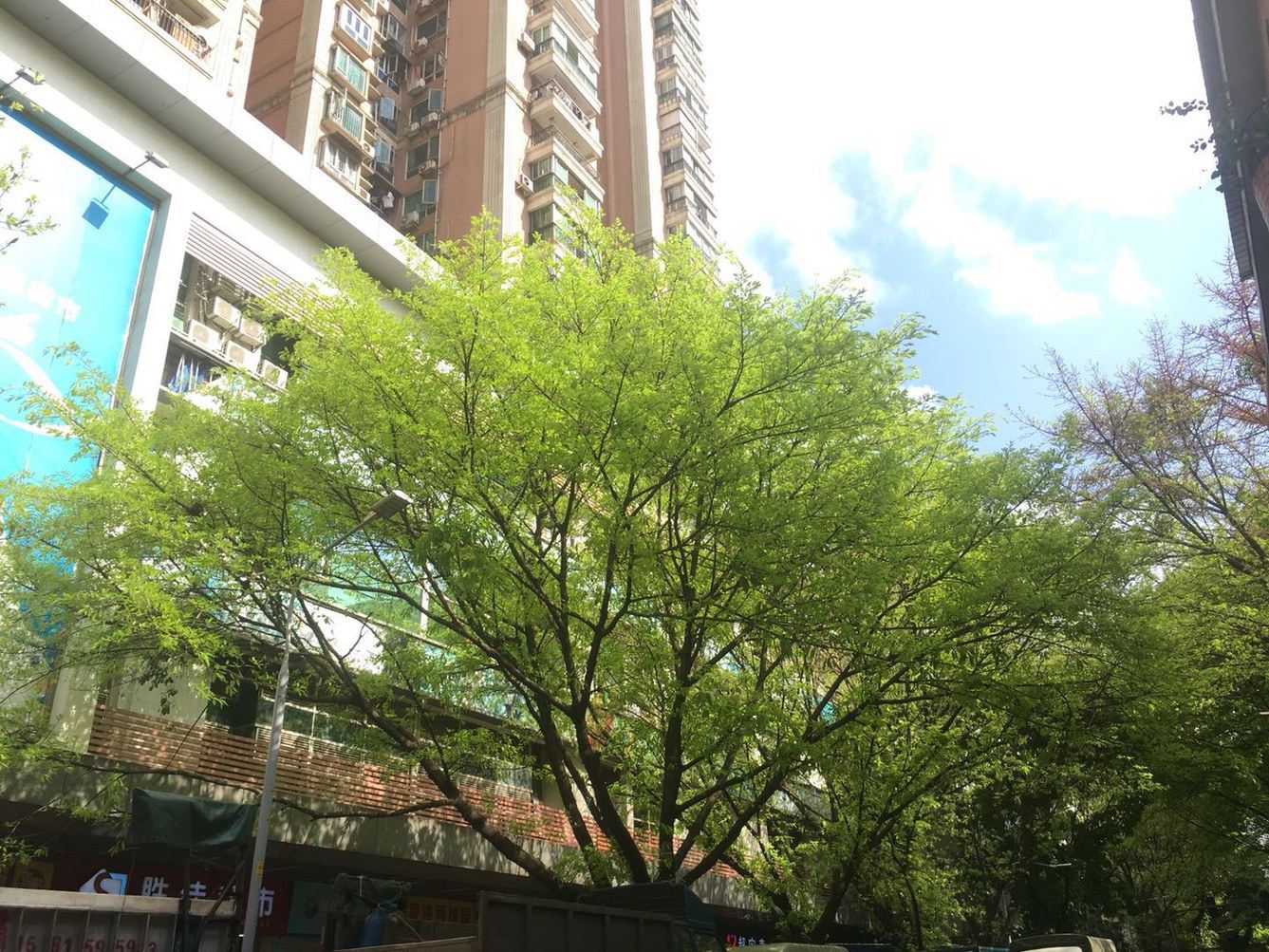 广州飞云之客公寓