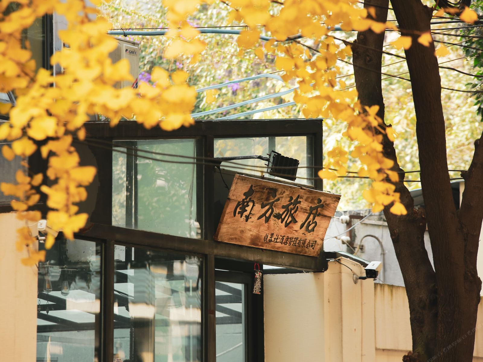 成都南方国际青年旅店