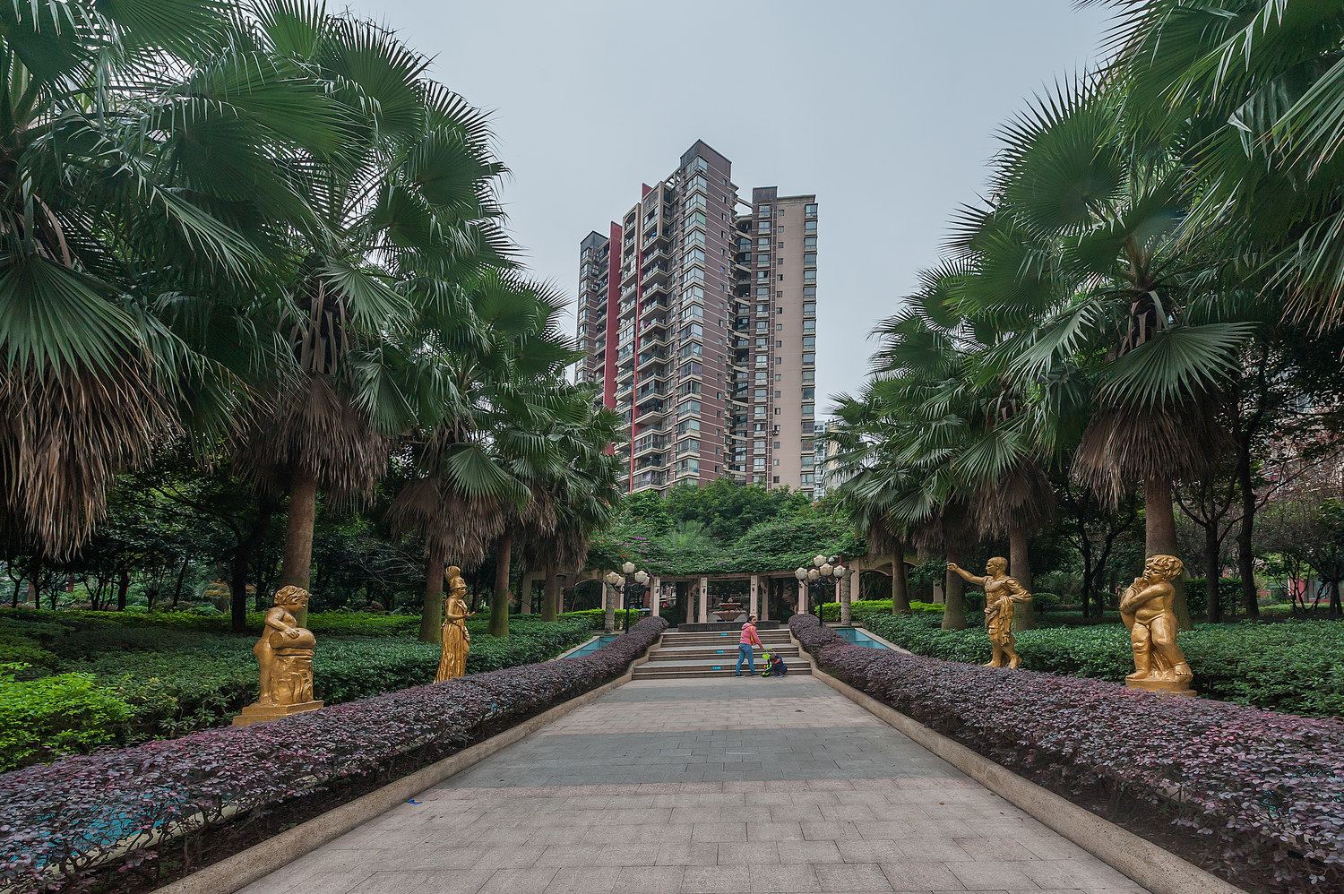 重庆不会游泳的鱼公寓
