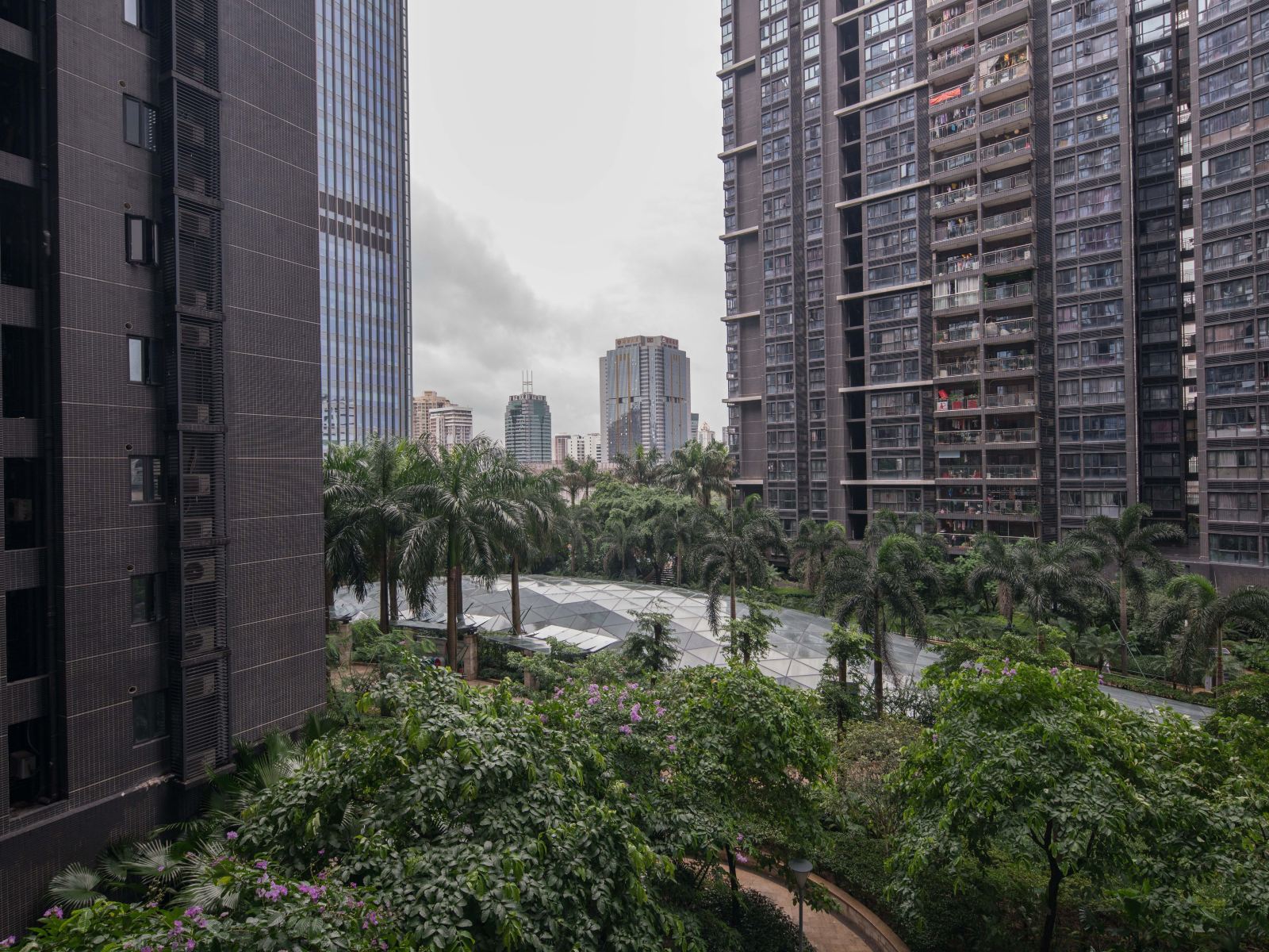 深圳京基100滨河公寓