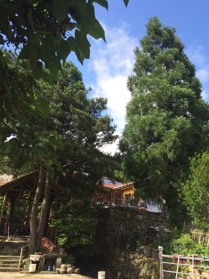 杭州龙凤竹农家