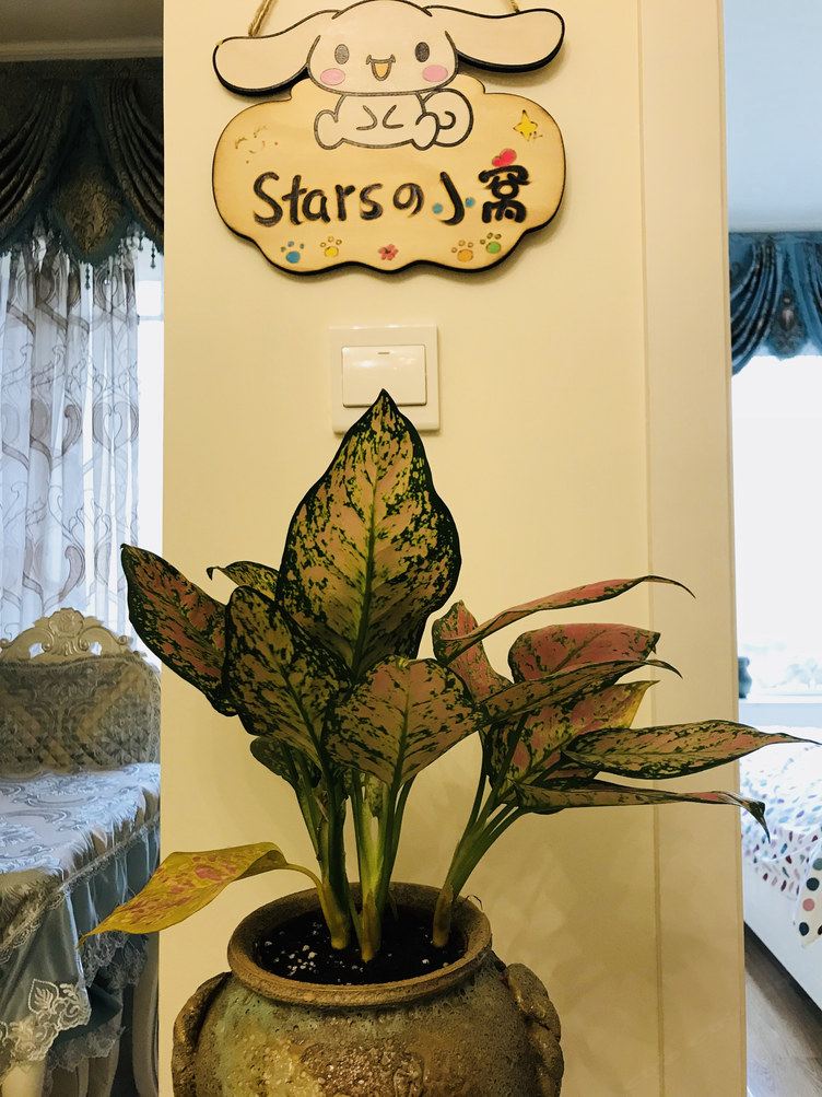 成都Stars公寓