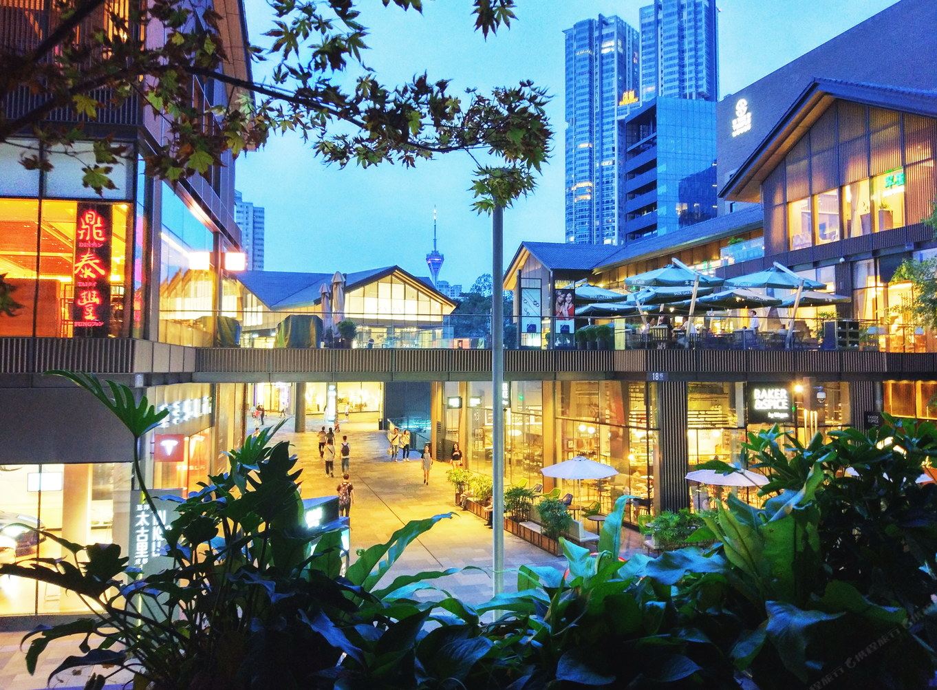 成都建筑师的室内丛林普通公寓(东糠市街店)