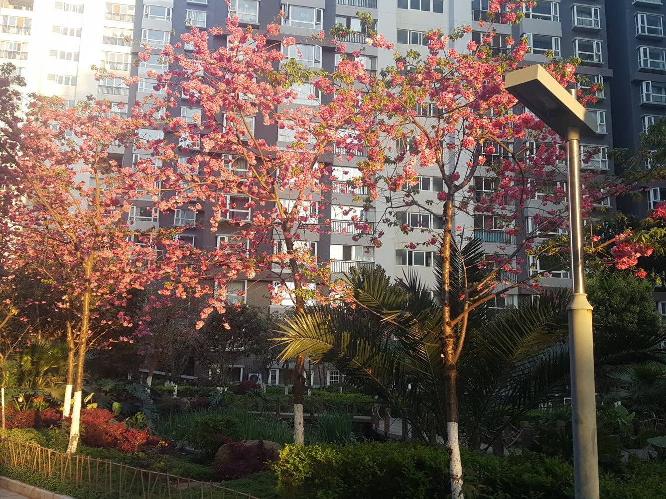 昆明旅途港湾普通公寓