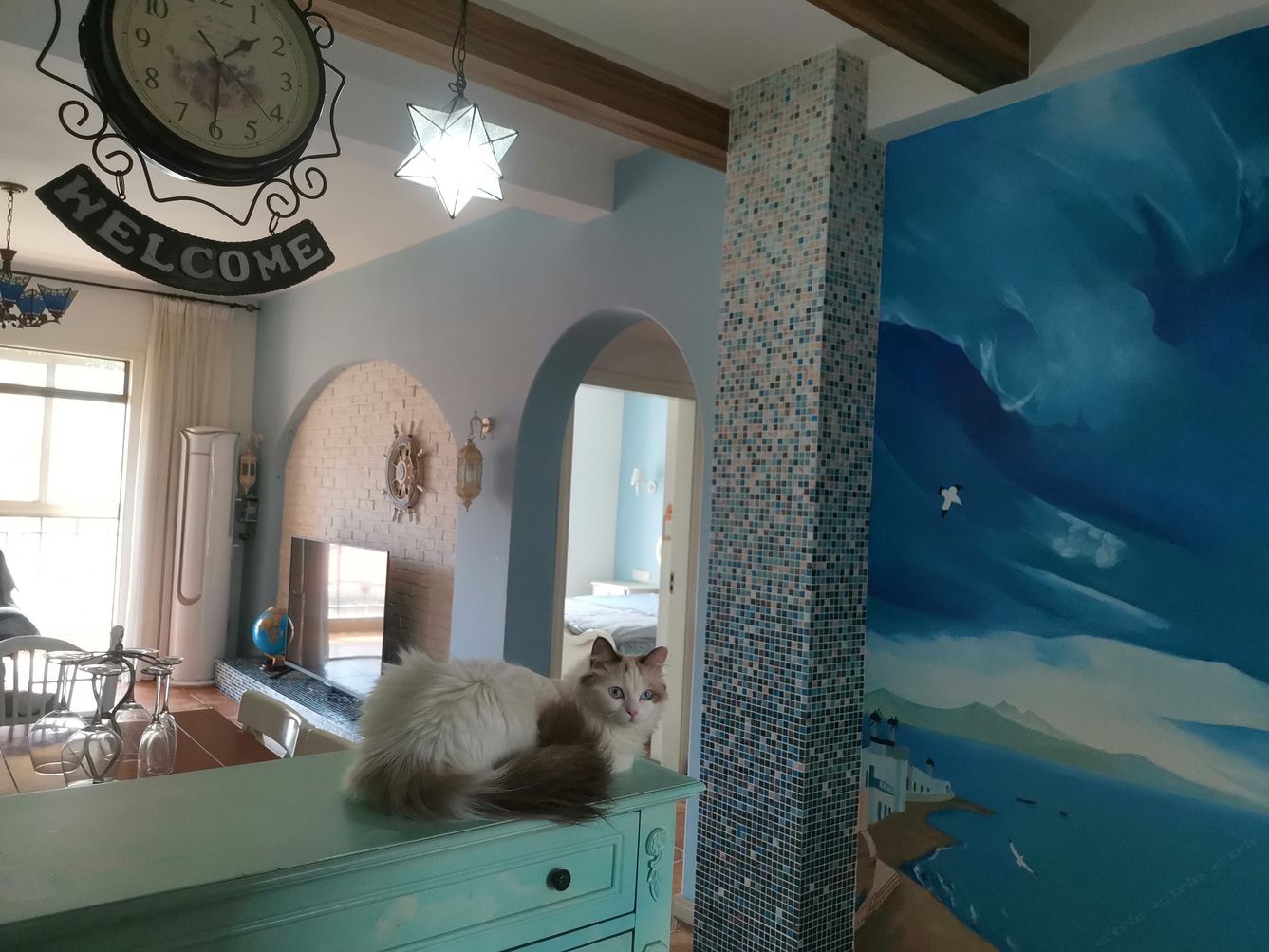武汉喵喵小屋猫咪相伴