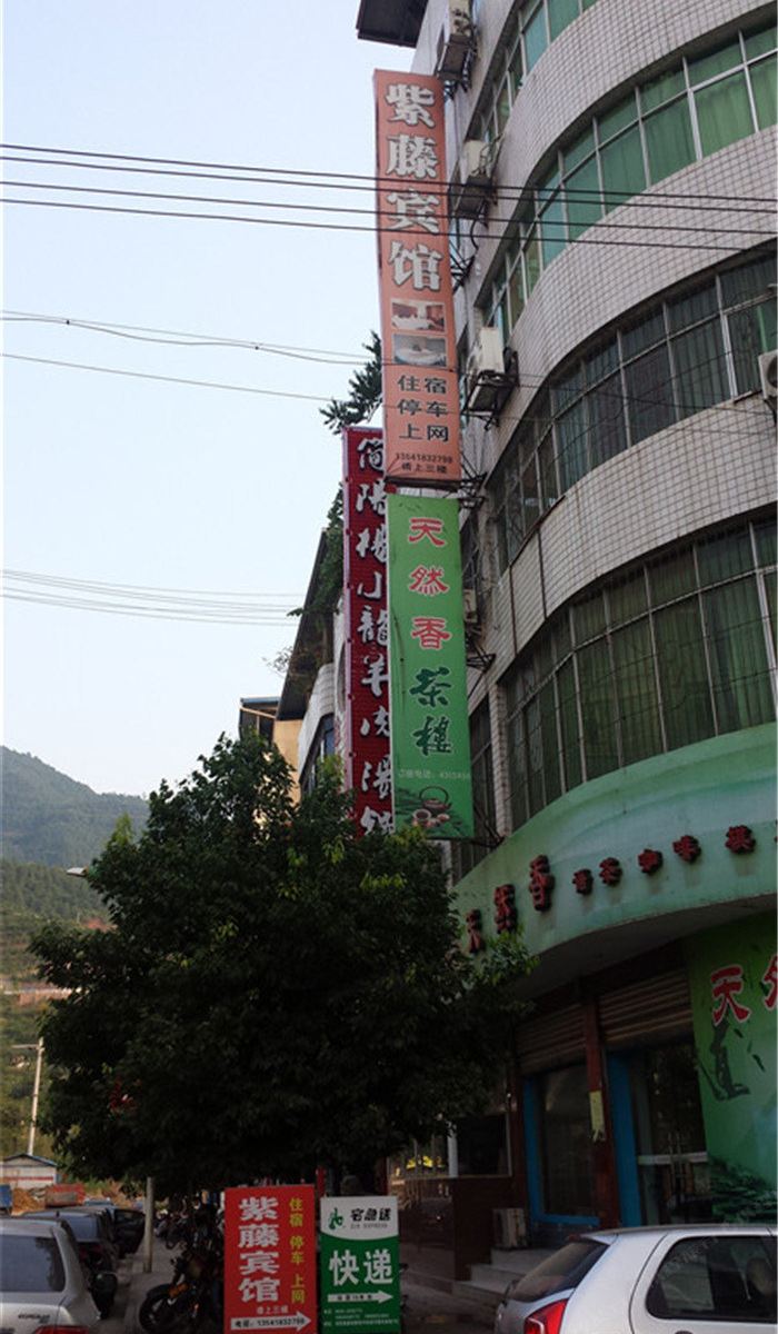 旺苍紫藤宾馆