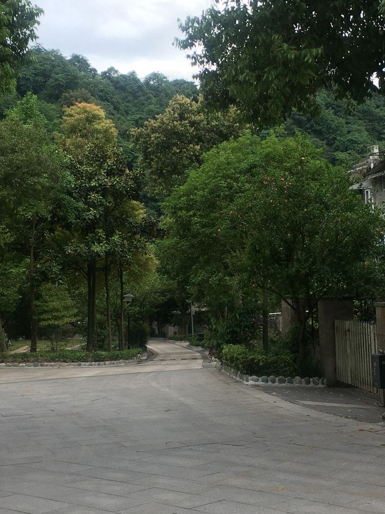 成都青城-养心驿站