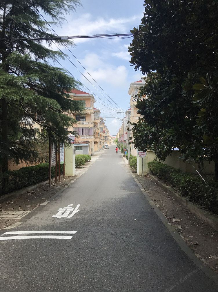 上海森林公园普通公寓
