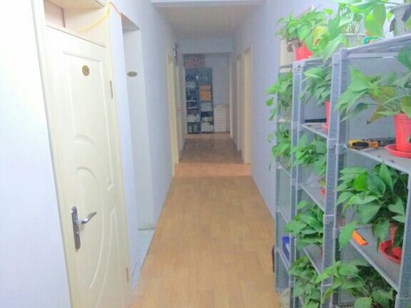 郑州绿萝雅居家庭公寓