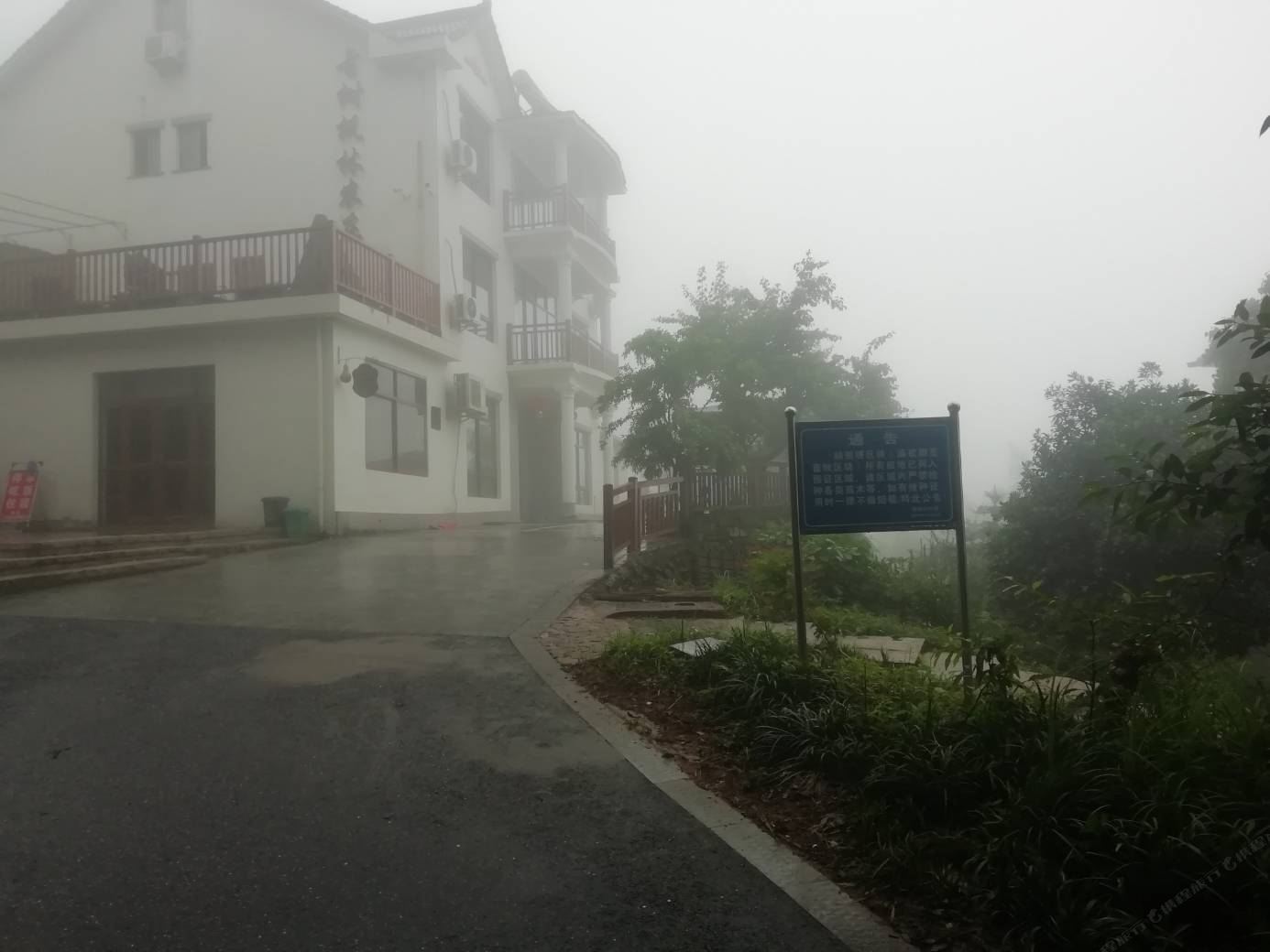 杭州古树枫林农庄