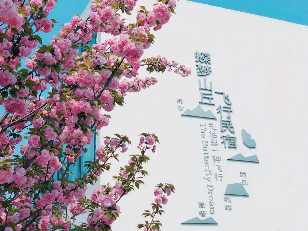 南京蝶梦山丘飞行民宿