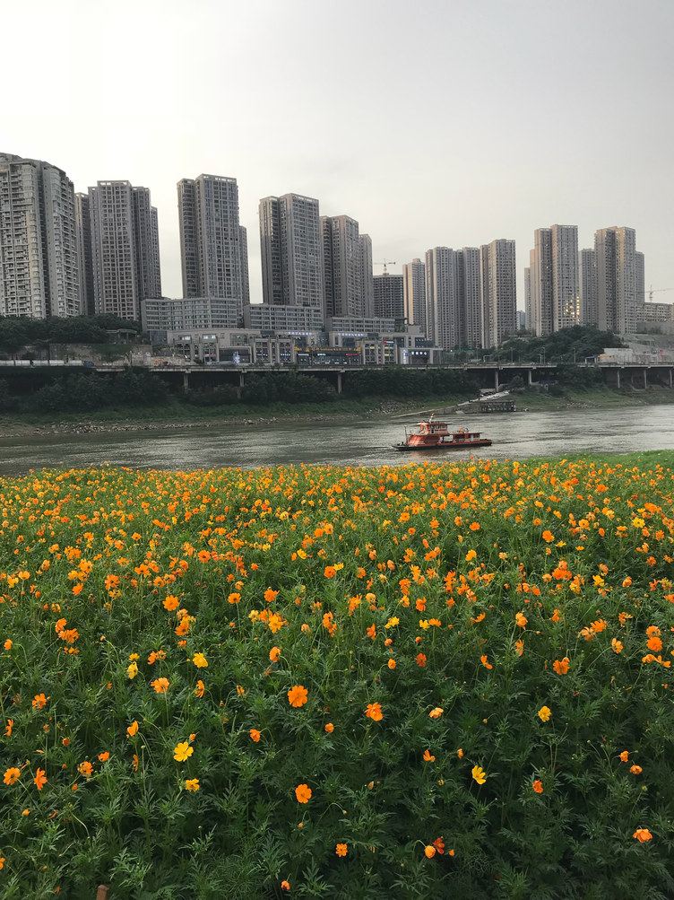 重庆一杯清茶公寓(重庆天地分店)