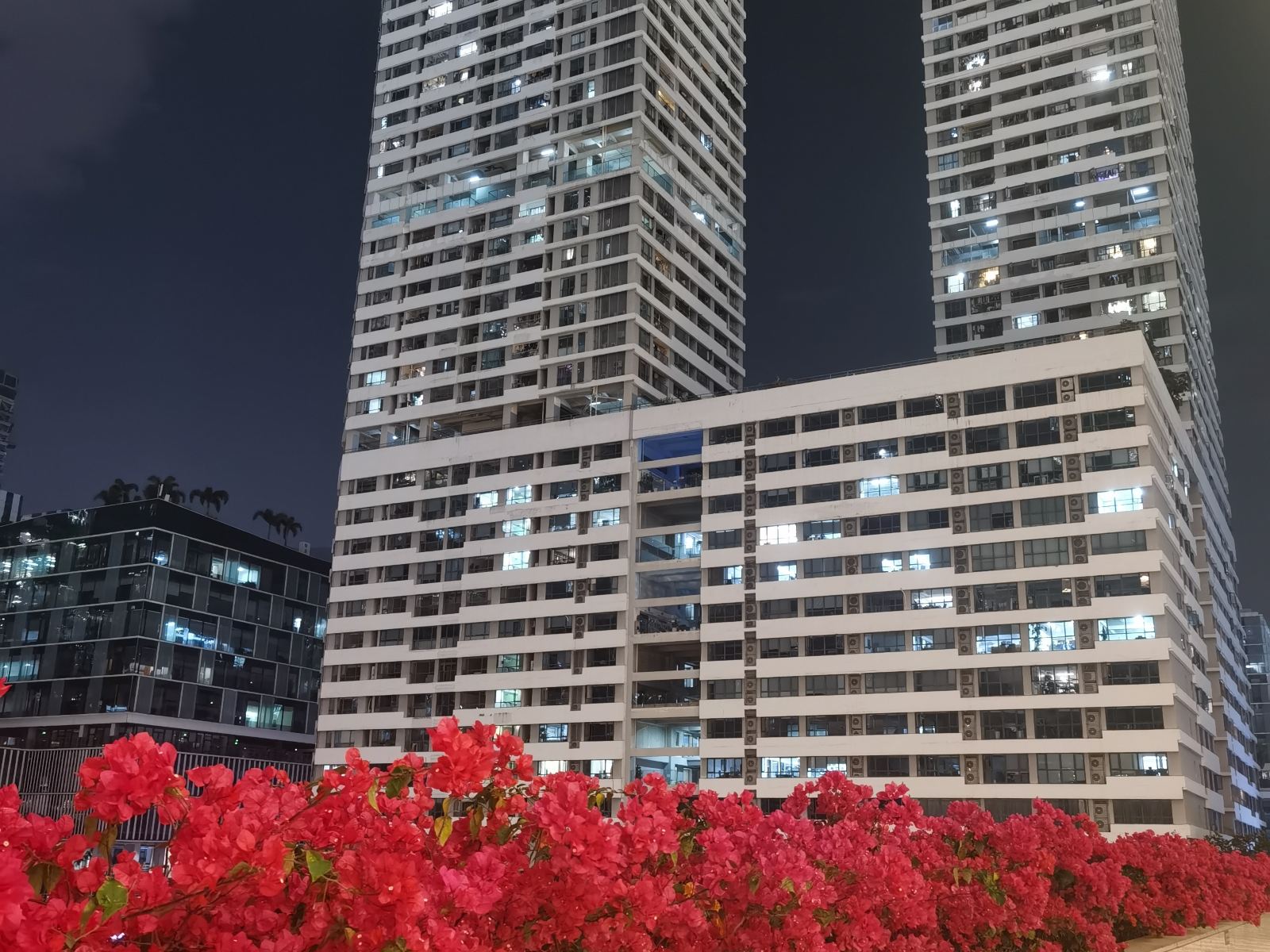 常春藤服务公寓（深圳湾店）