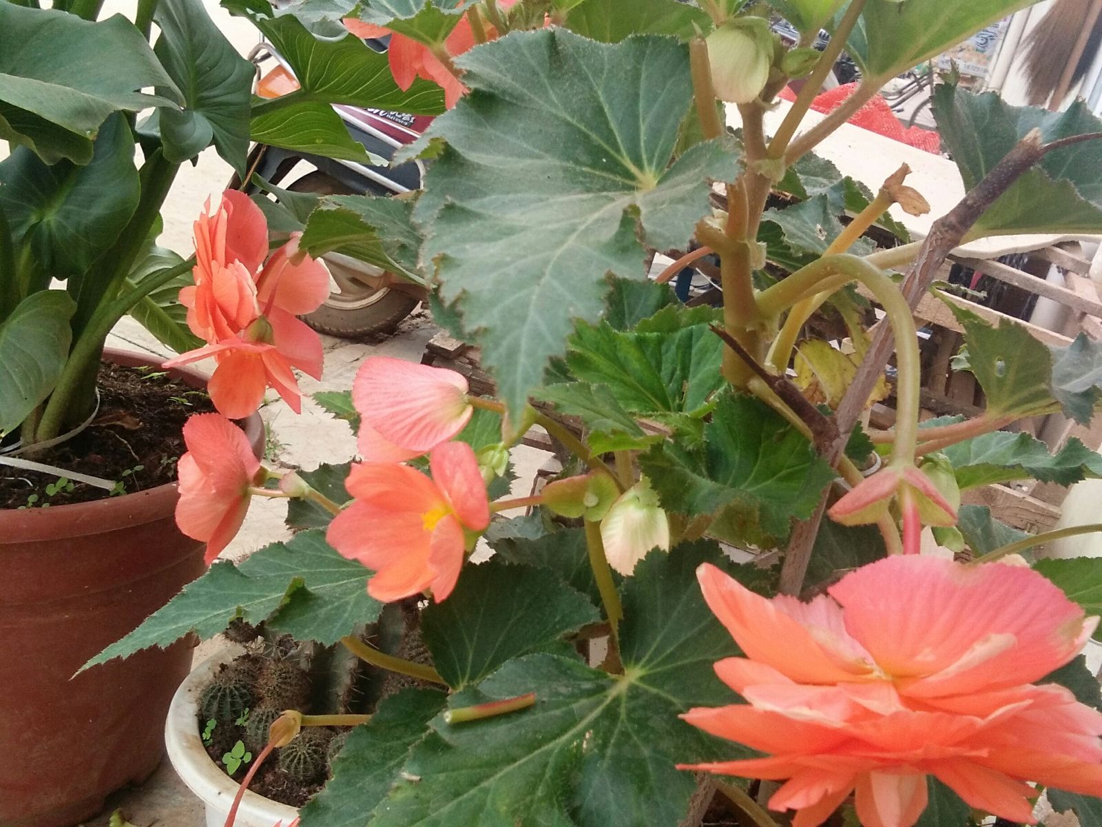 昆明禄劝永生客栈