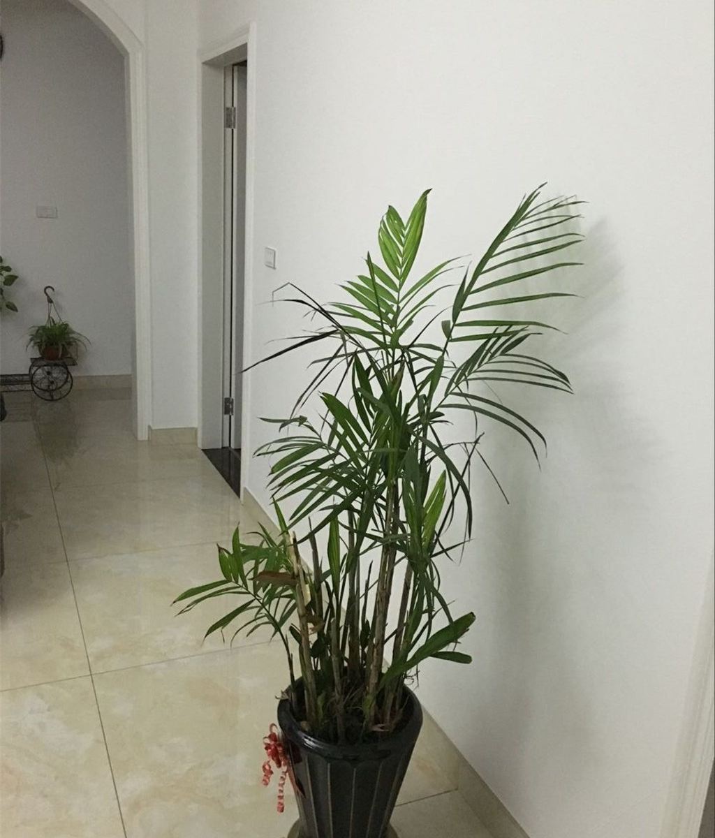 乌镇家驿小栈客栈
