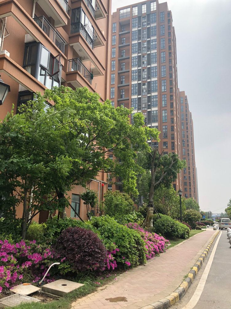 武汉淡雨点公寓