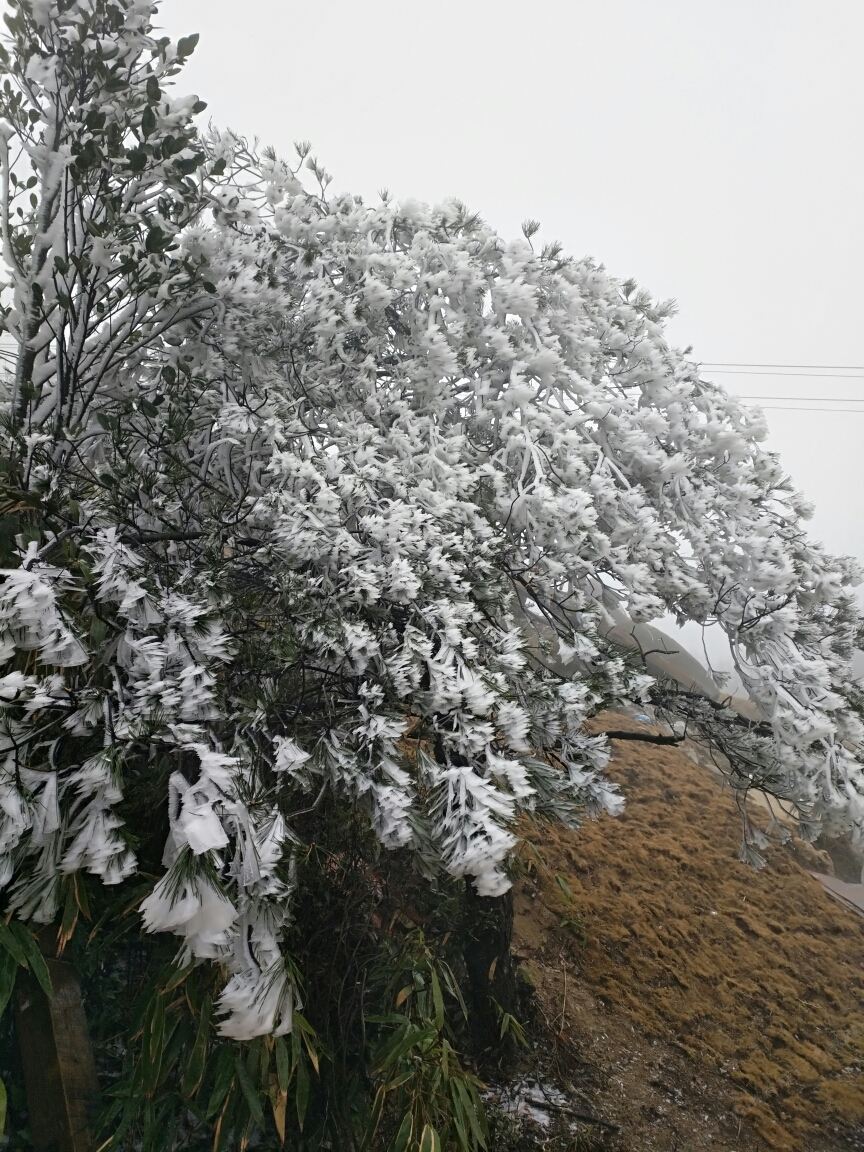 龙岩云海人家酒店