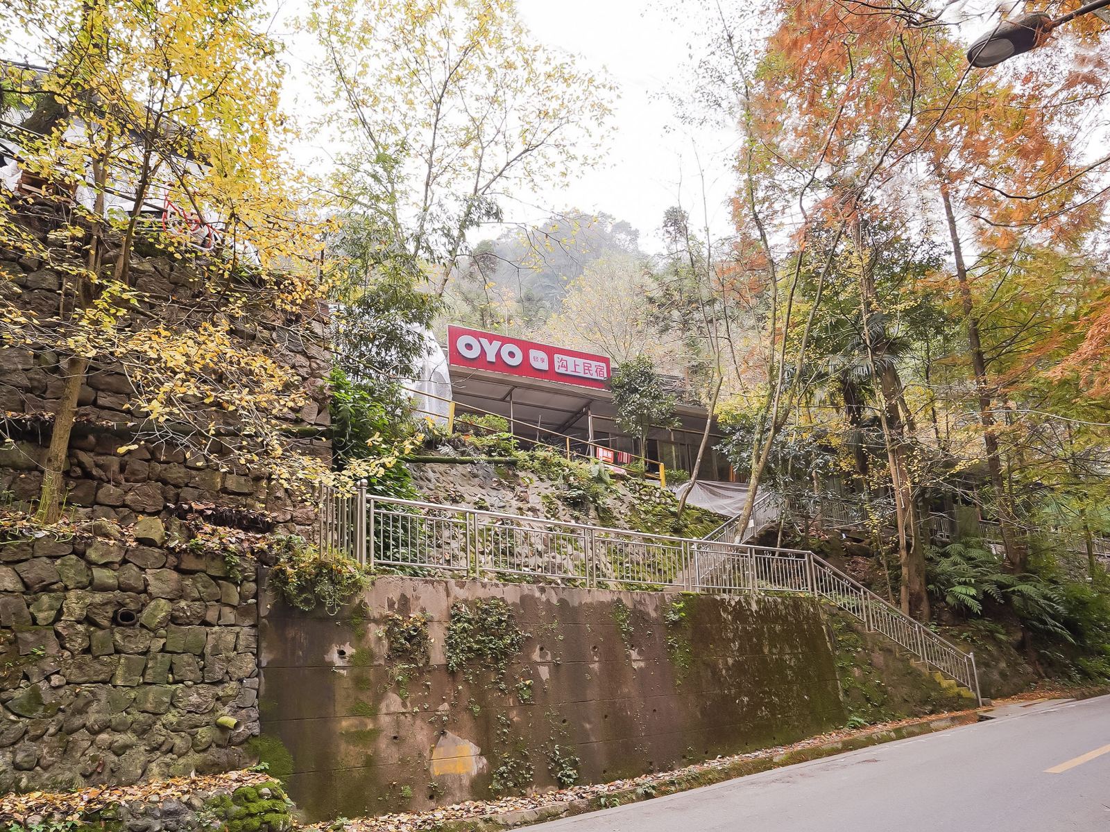 青城山沟上农家乐