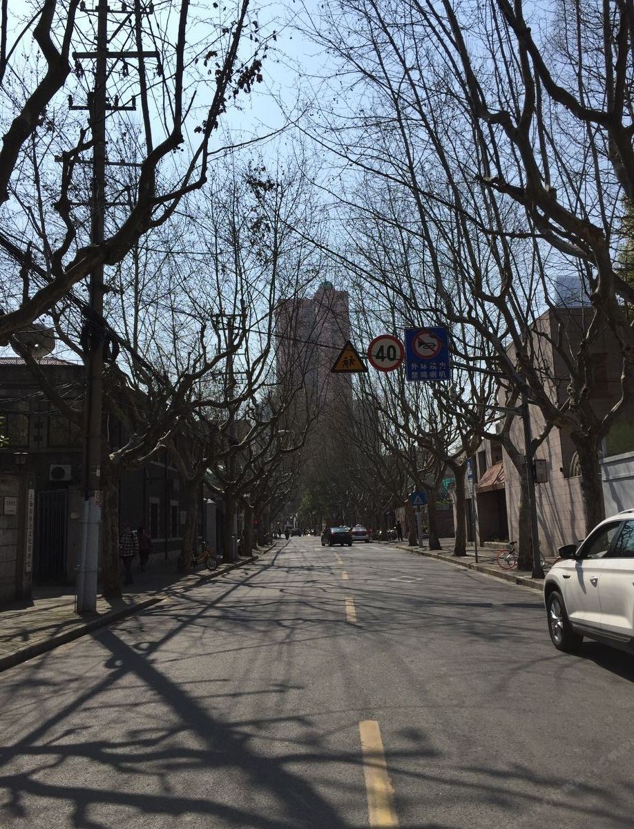 ZSunshine老洋房(上海延安中路店)