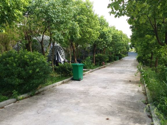 上海野奢房车露营基地
