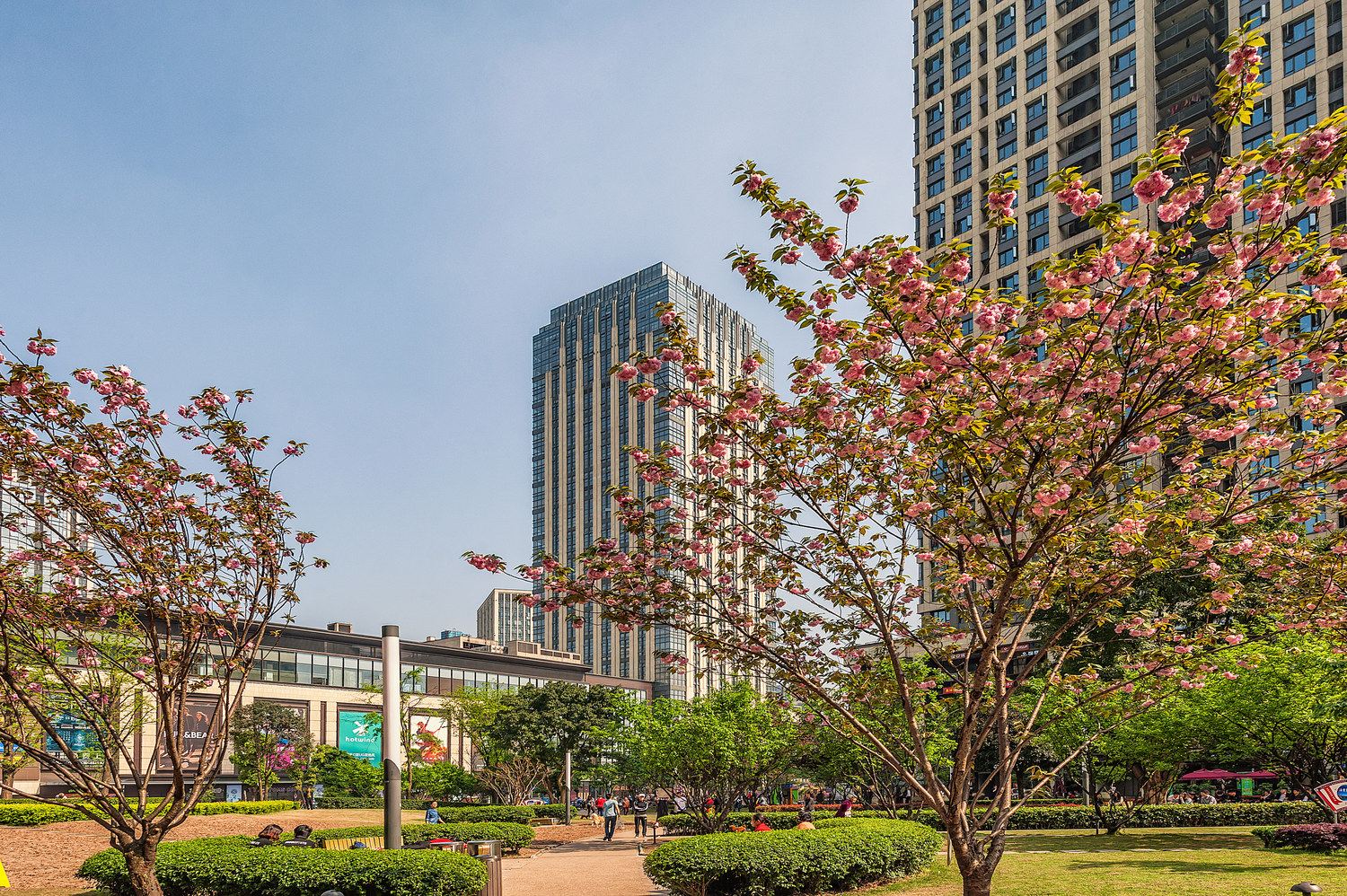 重庆憨憨堂公寓