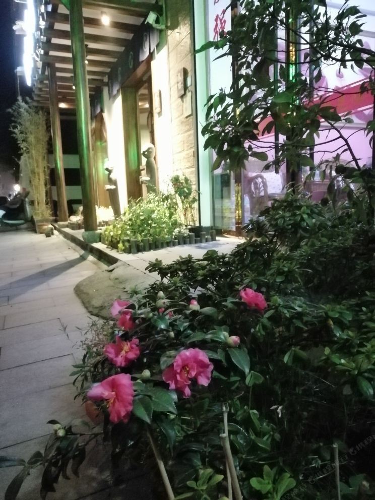 乌镇一路有你民宿