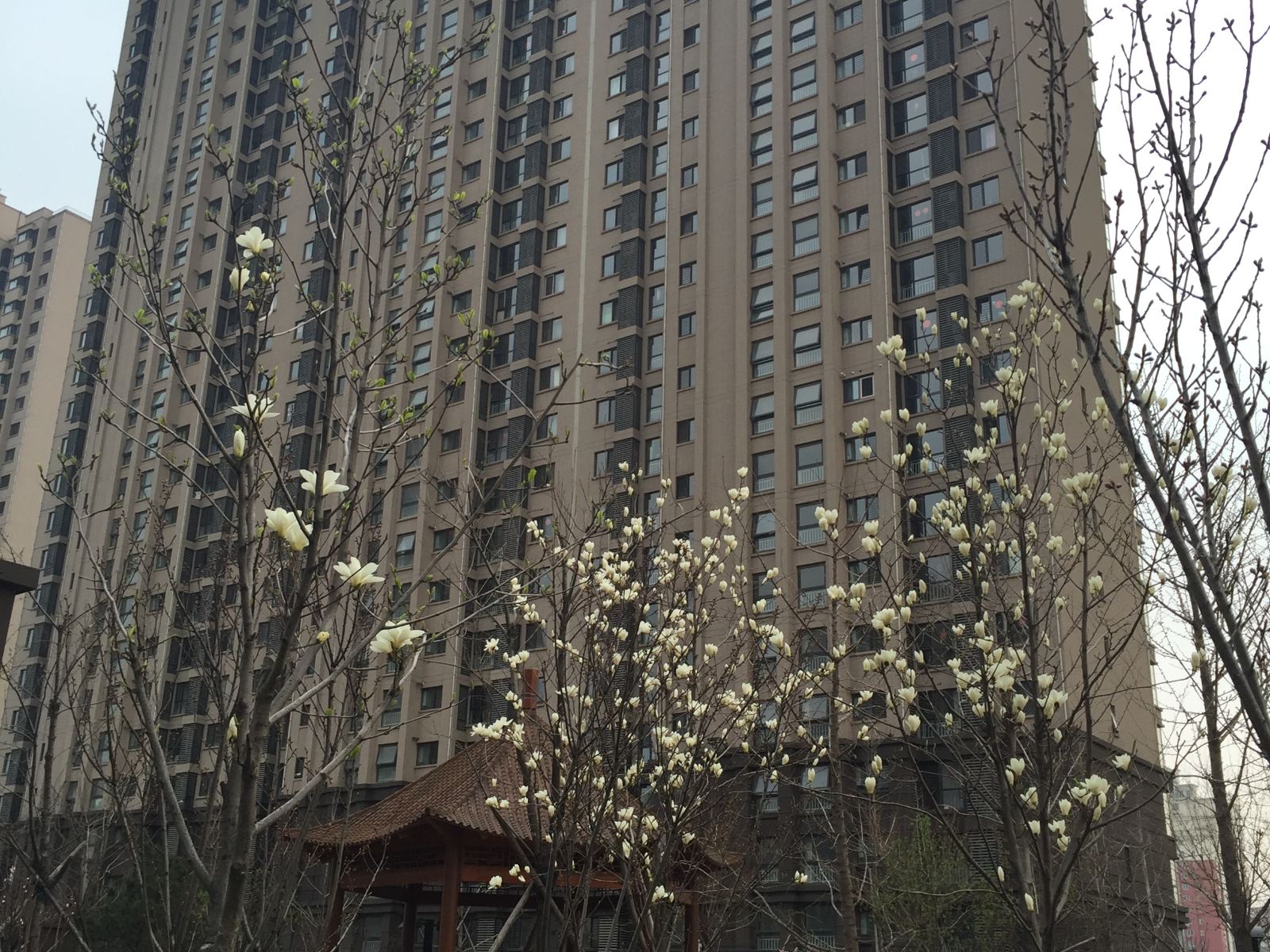北京近北京西站南站六里桥307医院舒适公寓