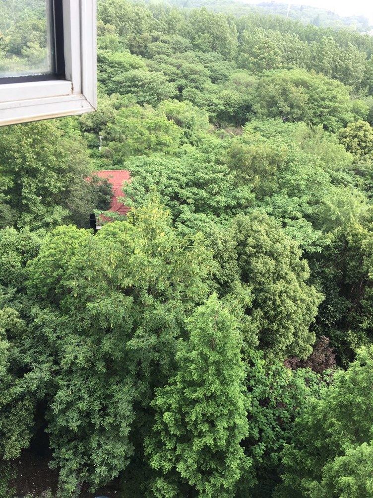 南京康盛花园公寓