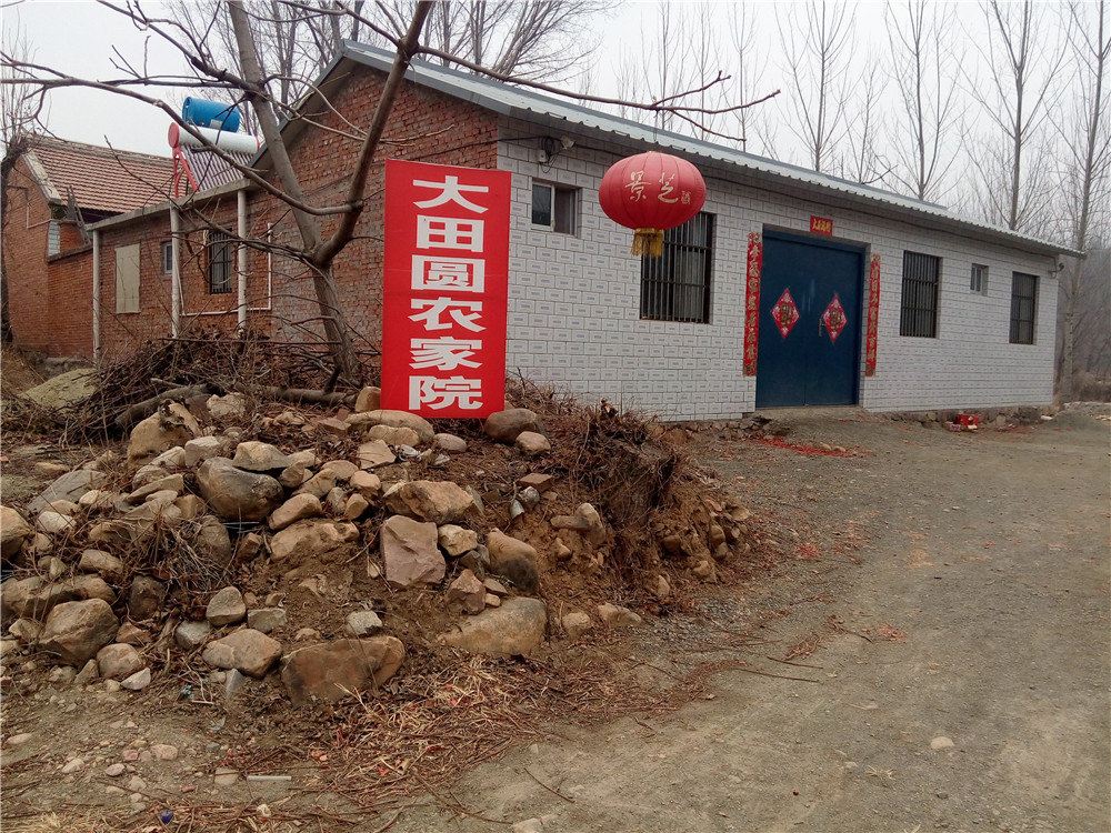 天津大田圆农家院