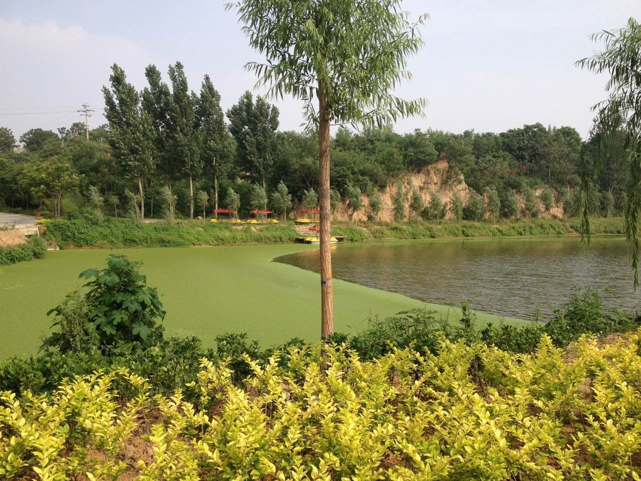 荥阳优河湾生态园