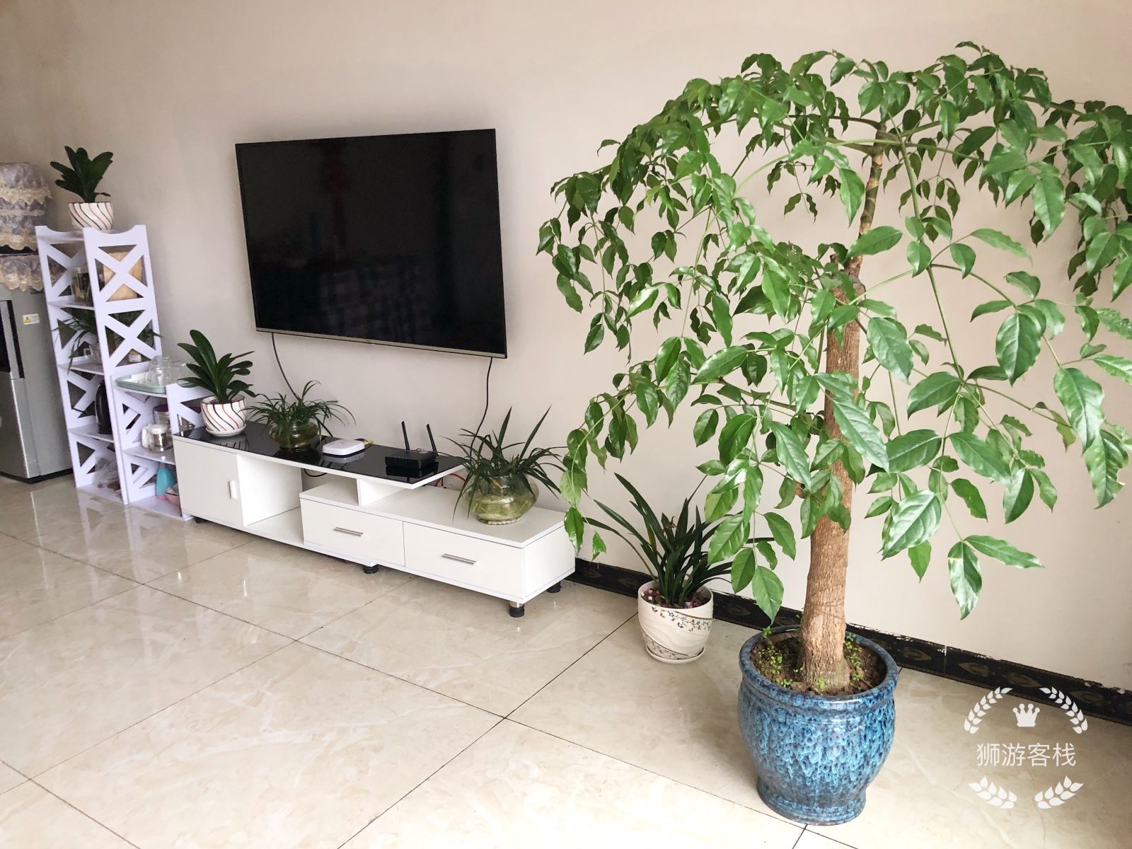 江口狮游客栈