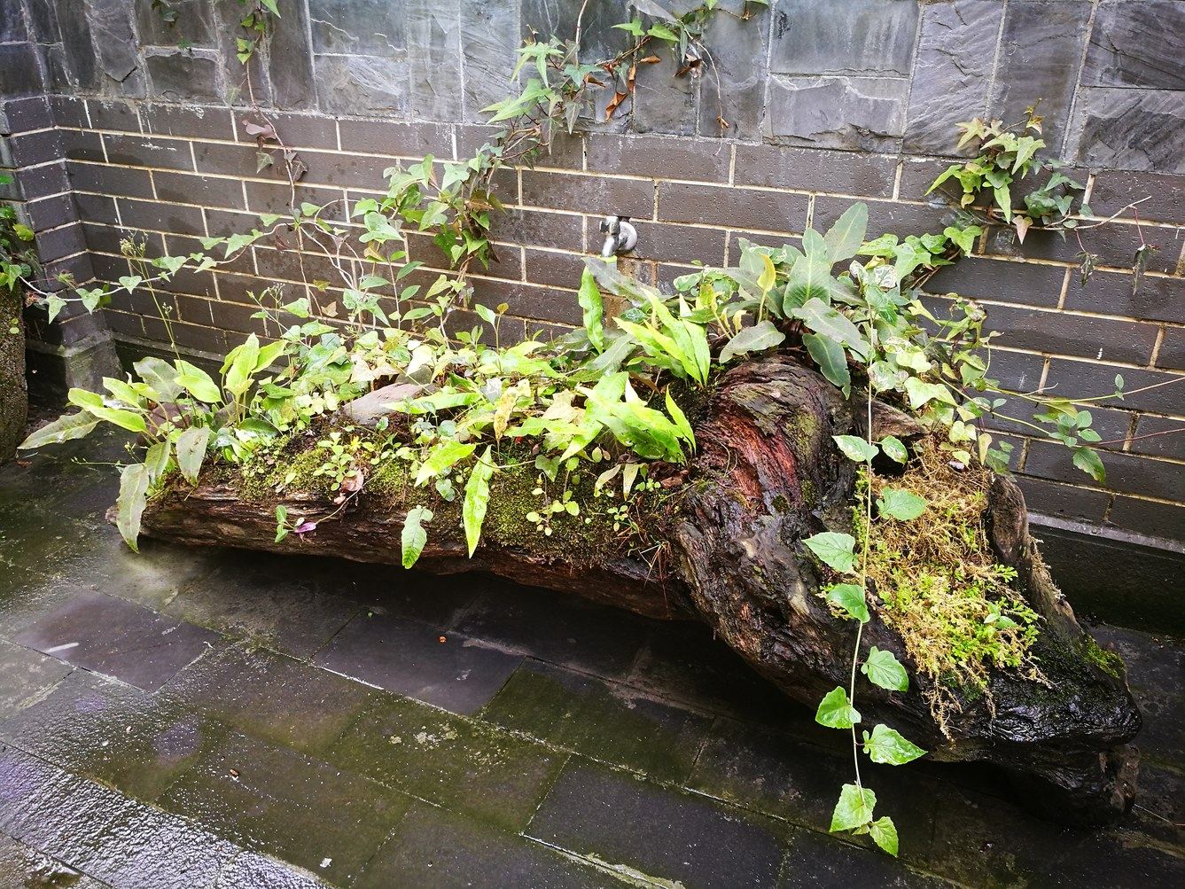 成都芙蓉古城中式庭院别墅