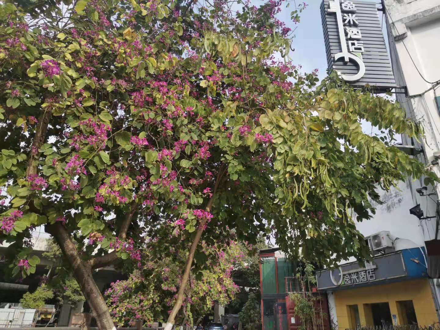 逸米酒店(白云区广州三元里地铁站店)