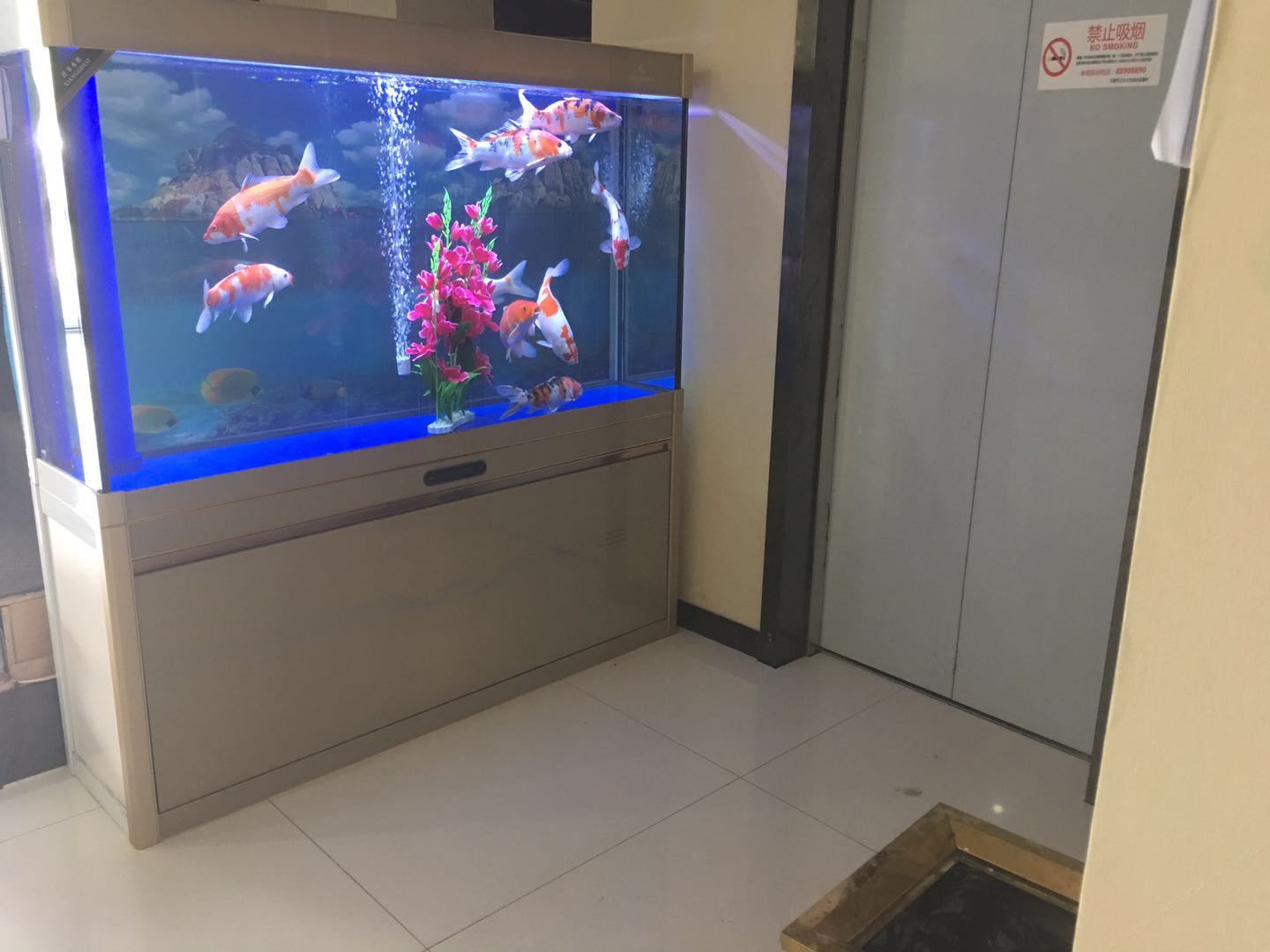 天津金日牛夜宾馆