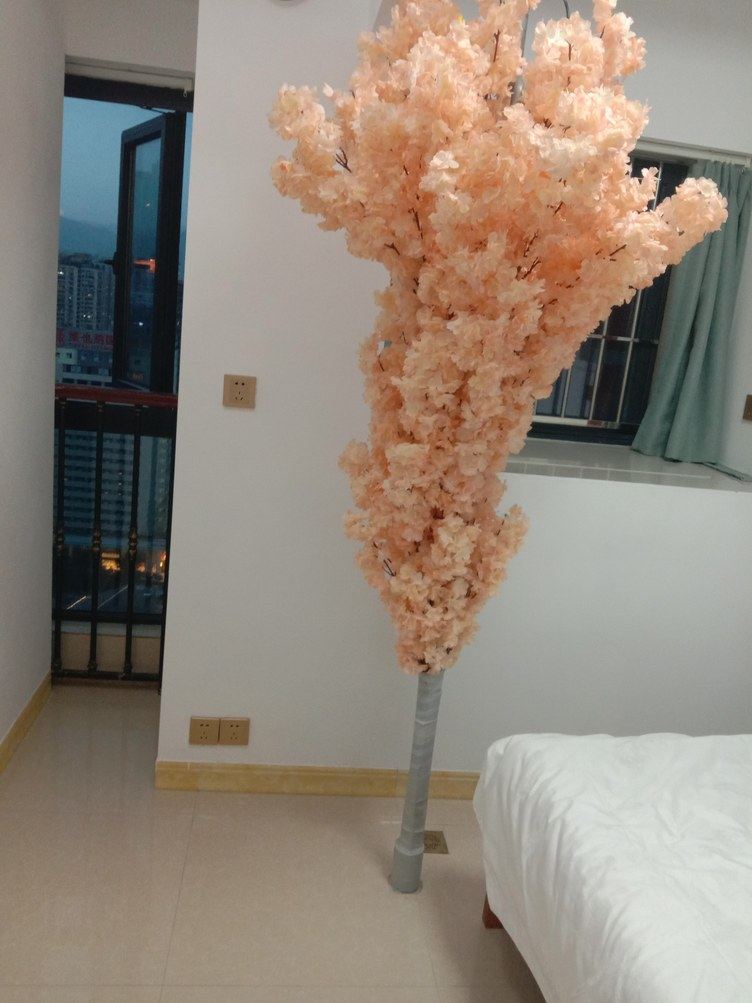 重庆花仔公寓