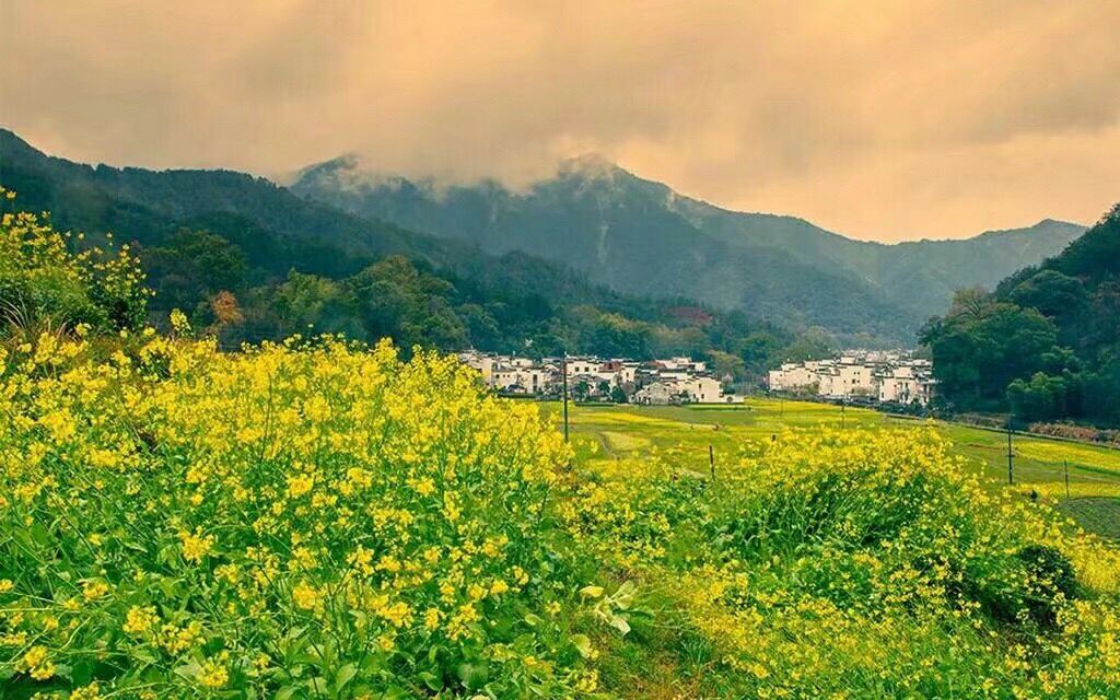 婺源晓起思缘居客栈