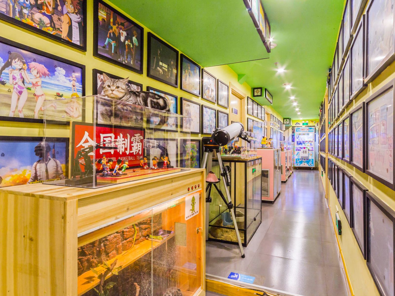漫画主题宾馆（哈尔滨中央大街店）