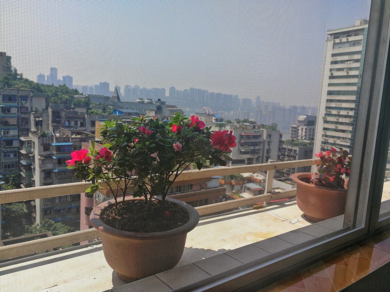 重庆小草依然公寓(中山三路分店)