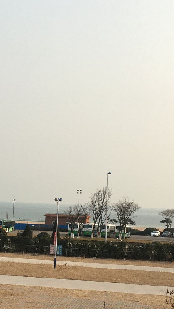 美乐金家小憩园公寓(青岛金沙滩路店)
