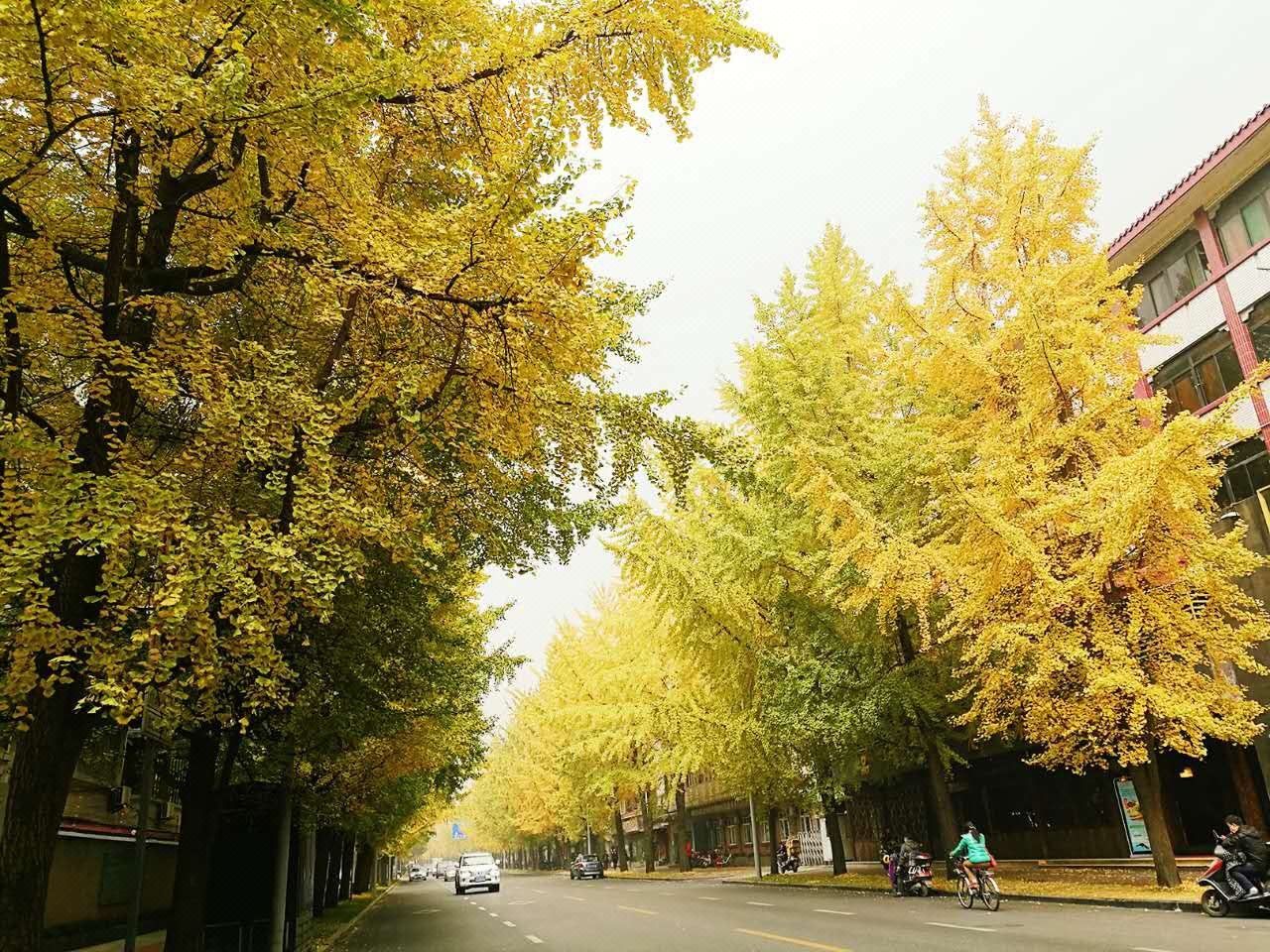 成都温香生活民宿