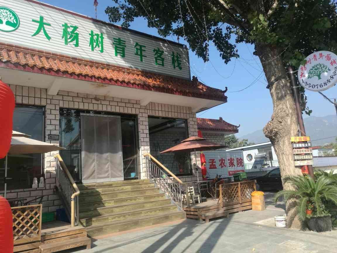 天津大杨树青年客栈
