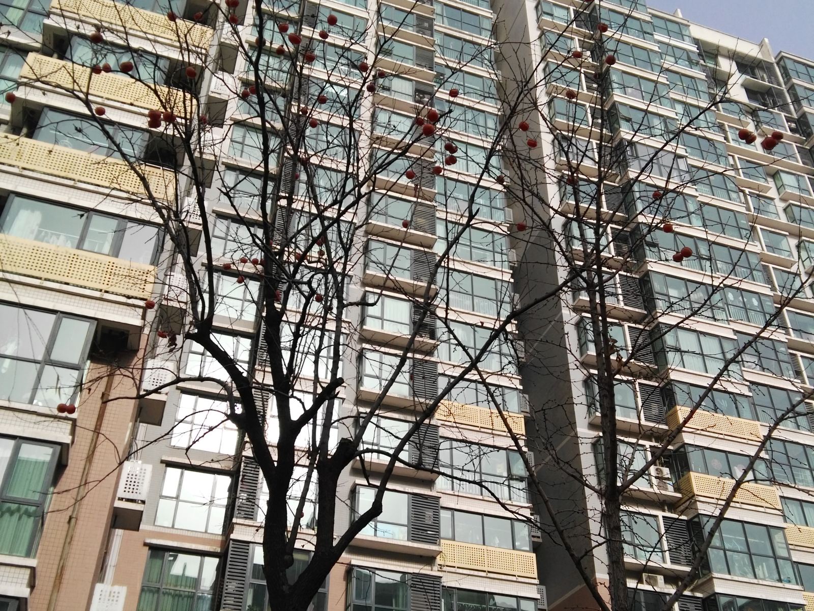 北京e家人公寓